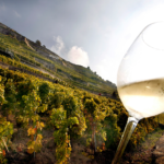 Alphabetical Guide to 2020 Bordeaux – Wine Spectator wp-header-logo-810.png