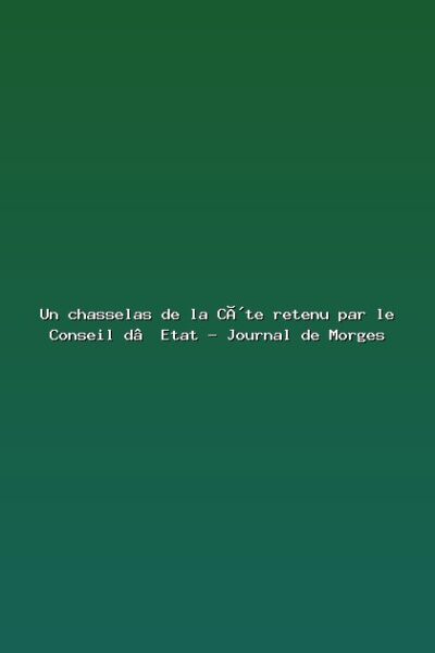 Featured: Un chasselas de la C&ocirc;te retenu par le Conseil d&rsquo;Etat - Journal de Morges