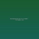 Featured: Des bouteilles de vin en relief - Vitisphere.com