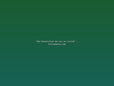 Featured: Des bouteilles de vin en relief - Vitisphere.com