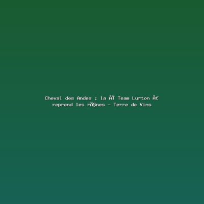 Featured: Cheval des Andes : la &laquo; Team Lurton &raquo; reprend les r&ecirc;nes - Terre de Vins