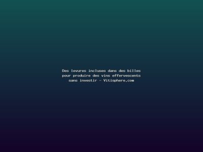 Featured: Des levures incluses dans des billes pour produire des vins effervescents sans investir - Vitisphere.com