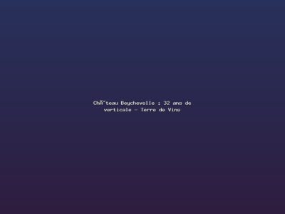 Featured: Ch&acirc;teau Beychevelle : 32 ans de verticale - Terre de Vins