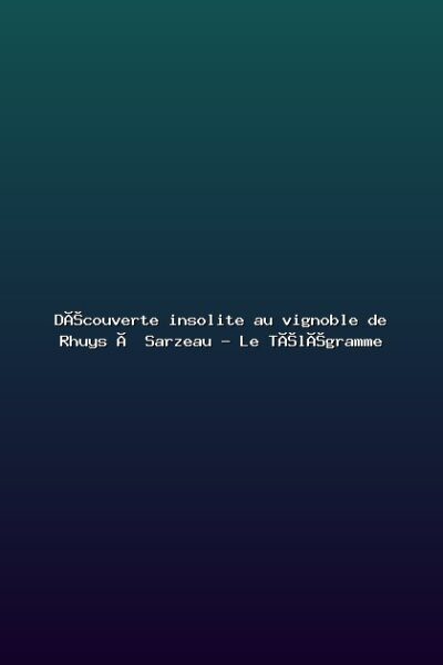 Featured: D&eacute;couverte insolite au vignoble de Rhuys &agrave; Sarzeau - Le T&eacute;l&eacute;gramme