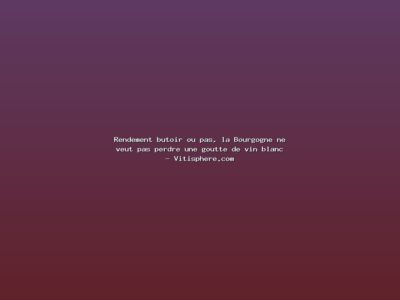 Featured: Rendement butoir ou pas, la Bourgogne ne veut pas perdre une goutte de vin blanc - Vitisphere.com