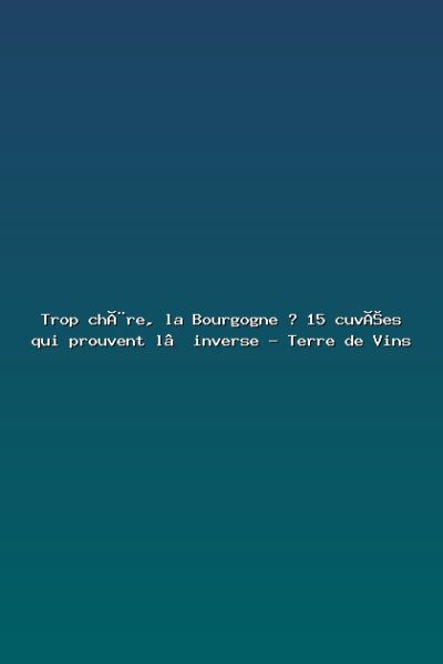 Trop chère, la Bourgogne ? 15 cuvées qui prouvent l’inverse – Terre de Vins Featured: Trop chère, la Bourgogne ? 15 cuvées qui prouvent l’inverse - Terre de Vins