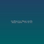 Featured: [Mill&eacute;sime Bio] C&eacute;pages oubli&eacute;s, c&eacute;pages adapt&eacute;s - Terre de Vins