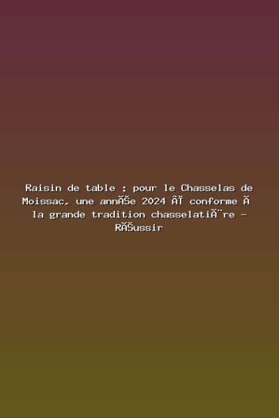 Featured: Raisin de table : pour le Chasselas de Moissac, une ann&eacute;e 2024 &laquo; conforme &agrave; la grande tradition chasselati&egrave;re - R&eacute;ussir