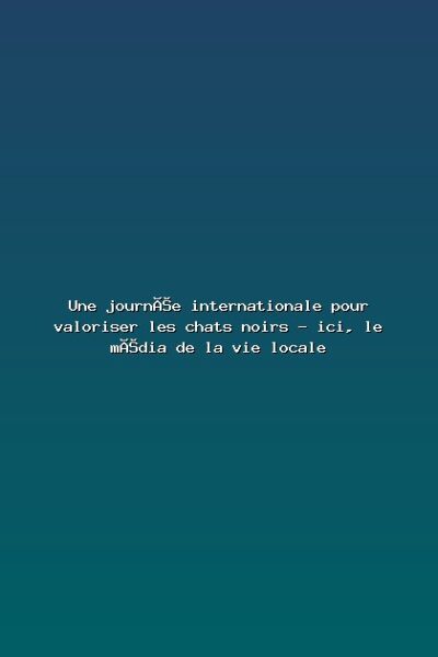 Featured: Une journ&eacute;e internationale pour valoriser les chats noirs - ici, le m&eacute;dia de la vie locale