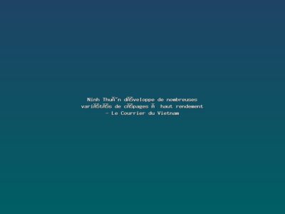 Featured: Ninh Thu&acirc;n d&eacute;veloppe de nombreuses vari&eacute;t&eacute;s de c&eacute;pages &agrave; haut rendement - Le Courrier du Vietnam