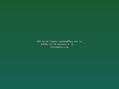 Featured: 800 ha de vignes vendang&eacute;es par la gr&ecirc;le en 30 minutes ⛈️ - Vitisphere.com