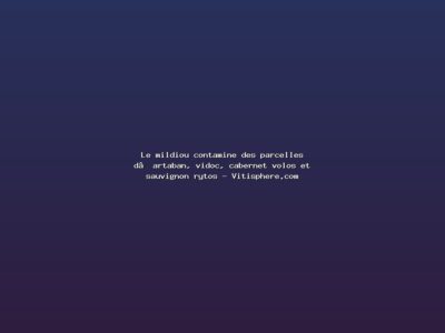 Featured: Le mildiou contamine des parcelles d&rsquo;artaban, vidoc, cabernet volos et sauvignon rytos - Vitisphere.com