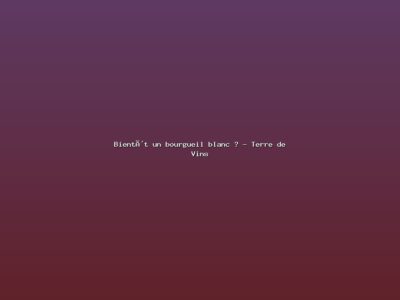 Featured: Bient&ocirc;t un bourgueil blanc ? - Terre de Vins