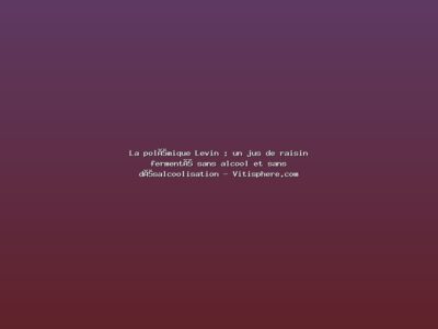Featured: La pol&eacute;mique Levin : un jus de raisin ferment&eacute; sans alcool et sans d&eacute;salcoolisation - Vitisphere.com