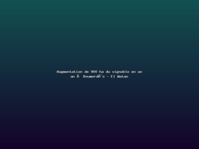 Featured: Augmentation de 900 ha du vignoble en un an &agrave; Boumerd&egrave;s - El Watan