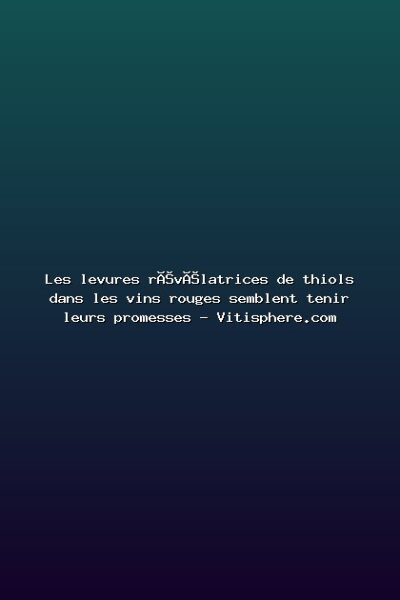 Les levures révélatrices de thiols dans les vins rouges semblent tenir leurs promesses – Vitisphere.com Featured: Les levures révélatrices de thiols dans les vins rouges semblent tenir leurs promesses - Vitisphere.com