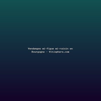 Featured: Vendanges mi-figue mi-raisin en Bourgogne - Vitisphere.com