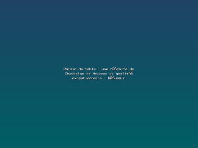 Featured: Raisin de table : une r&eacute;colte de Chasselas de Moissac de qualit&eacute; exceptionnelle - R&eacute;ussir