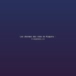 Featured: Les charmes des vins de Niagara - l-express.ca