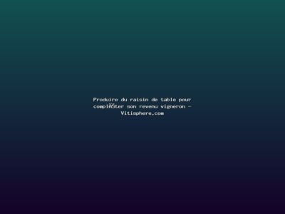 Featured: Produire du raisin de table pour compl&eacute;ter son revenu vigneron - Vitisphere.com