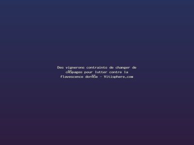 Featured: Des vignerons contraints de changer de c&eacute;pages pour lutter contre la flavescence dor&eacute;e - Vitisphere.com